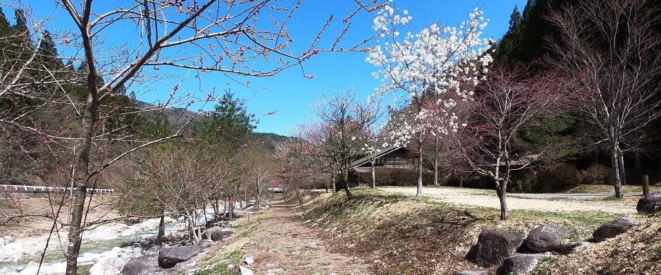 弓の又キャンプ場